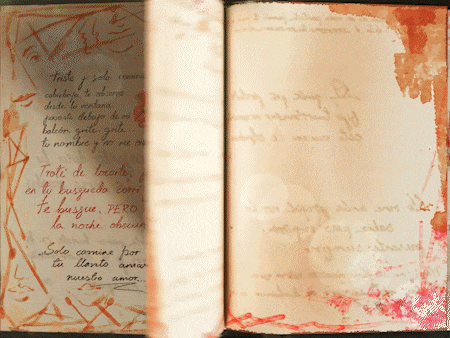 24_09_AYYILDIZ_FRIDA_DIARY_wSound_1_1