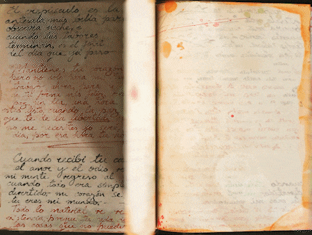 24_09_AYYILDIZ_FRIDA_DIARY_wSound_1_1_1_1_1_1_1