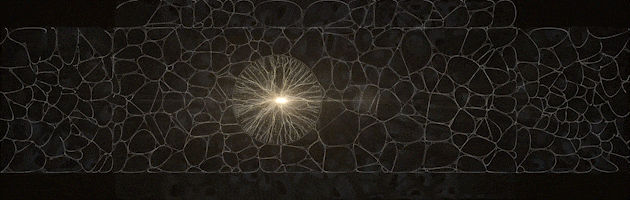 24_10_INNOVATION_AV_MAPPING_1_1_1_1