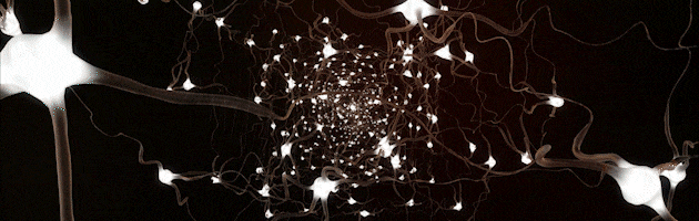 24_10_INNOVATION_AV_MAPPING_1_1_1_1_1_1