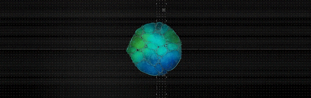 24_10_INNOVATION_AV_MAPPING_1_2